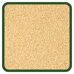 (image for) Cous Cous